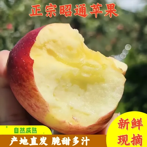【当季鲜果】正宗云南昭通冰糖心丑苹果新鲜脆甜多汁现摘9.5斤包邮