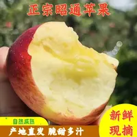 【当季鲜果】正宗云南昭通冰糖心丑苹果新鲜脆甜多汁现摘9.5斤包邮