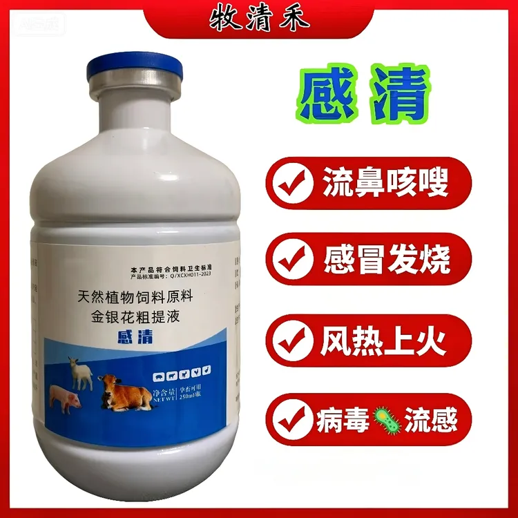 【感清】金银花粗提液