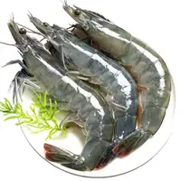 【顺丰发货】③新鲜大号海洋大虾 肉质紧实速冻 鲜甜可口 到手4斤/盒