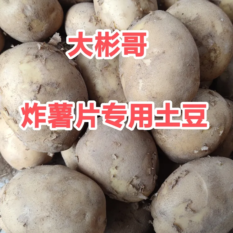 大彬炸薯片《专用土豆》炸不黑