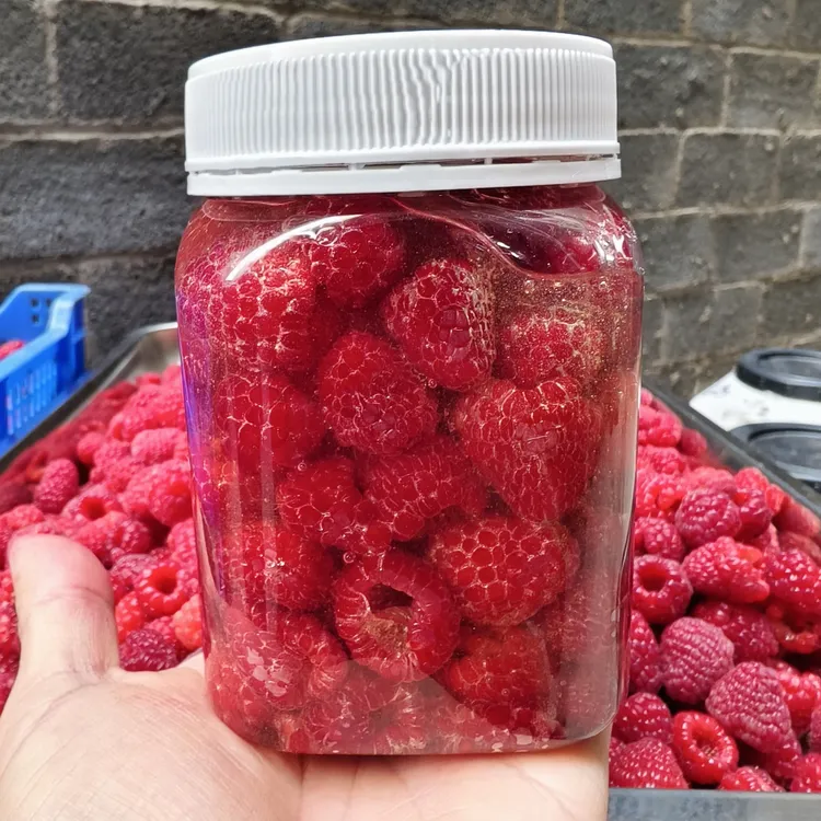 每日现摘树莓，400克树莓送400克蜂蜜巜易碎果酱状》