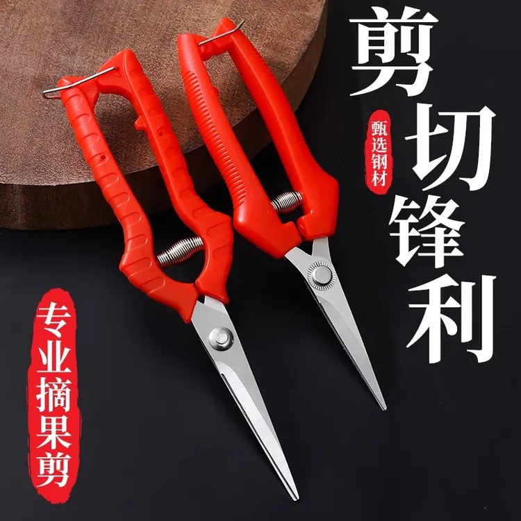 【新人0.01到时】采果剪园艺剪葡萄疏花剪修花修枝剪采摘摘果剪刀