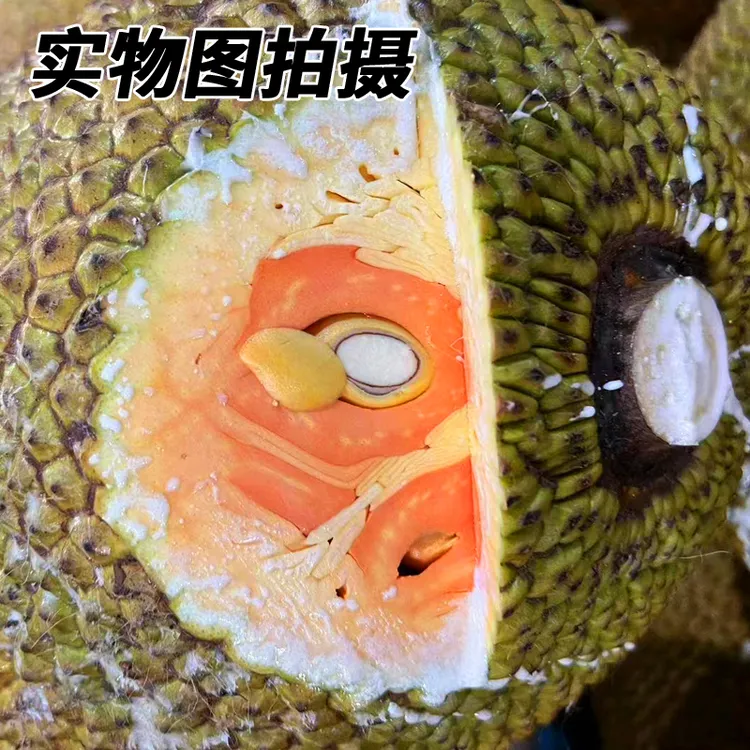 一整个【印尼红肉菠萝密】当季新鲜热带水果鲜甜