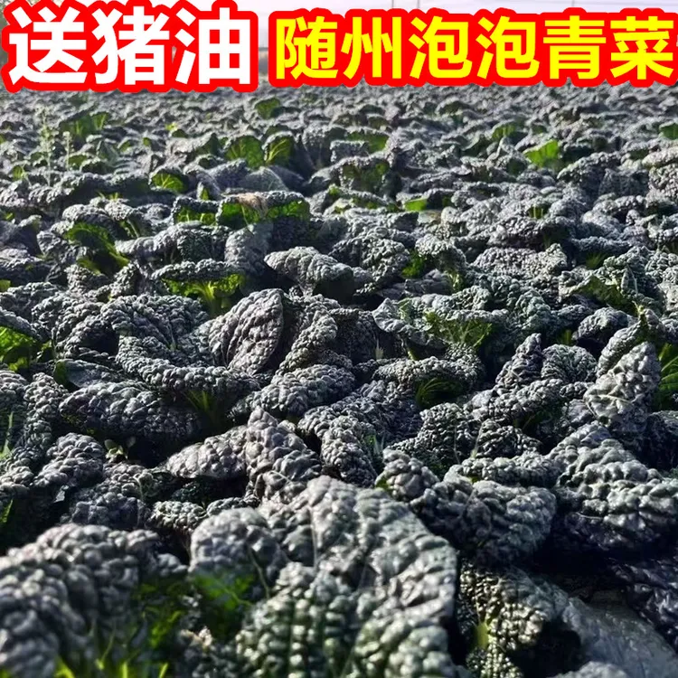 【送猪油】随州泡泡青施农家肥自种新鲜蔬菜黑叶火锅配菜矮杆青菜