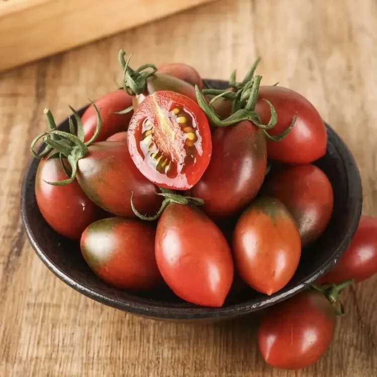 福建漳州盐碱地自然生长紫弹头小番茄新鲜采摘水果酸甜脆口多爆汁商品图