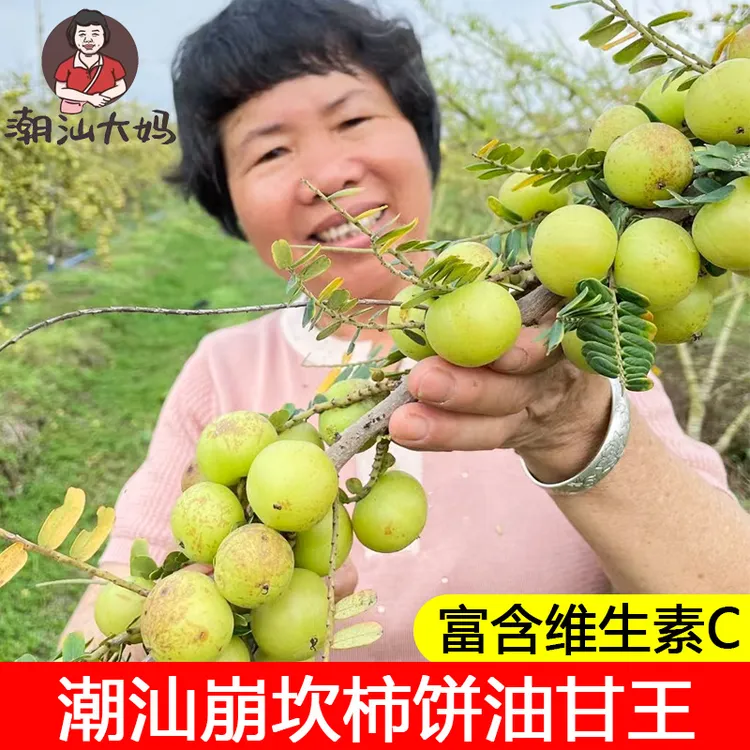 潮汕大妈赤皮油柑果现摘油甘果新鲜余甘子崩坎种油柑孕妇油甘子