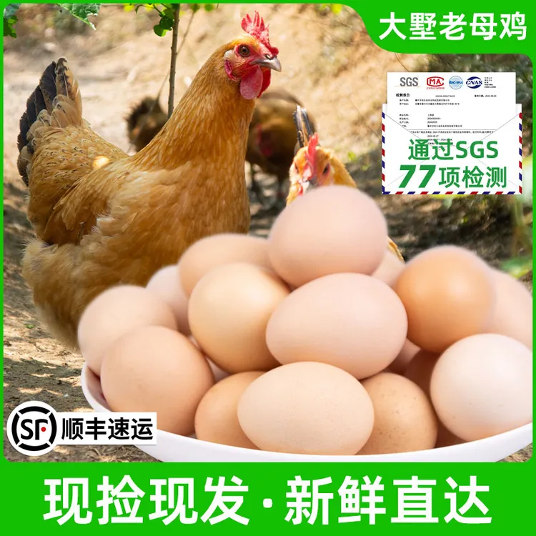 大墅老母鸡散养土鸡蛋虫草鸡蛋正宗农家散养 五谷喂养 新鲜土鸡蛋