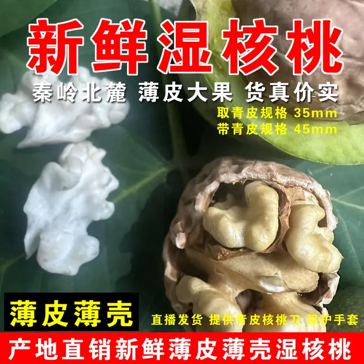 2025年陕西秦岭山老树甄选大果新鲜薄皮青皮薄壳湿核桃新鲜