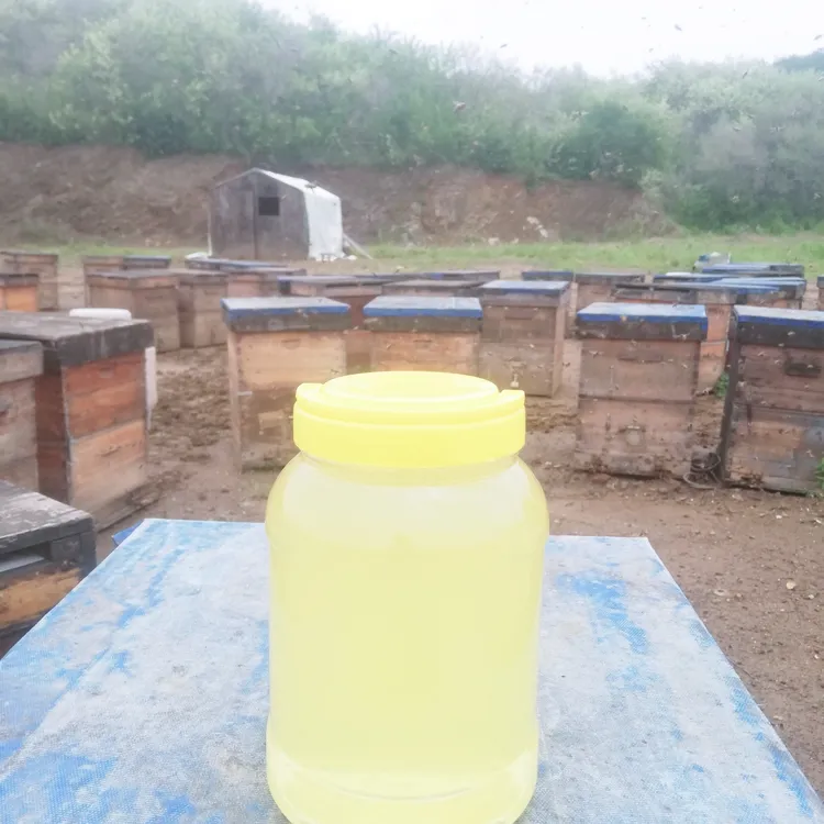 洋槐蜜槐花蜜刺槐蜜农家自产纯正成熟原蜜食用2025新蜜42度