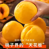 黄金蜜黄桃毛桃4.5斤约8-11个整箱包邮坏果包赔