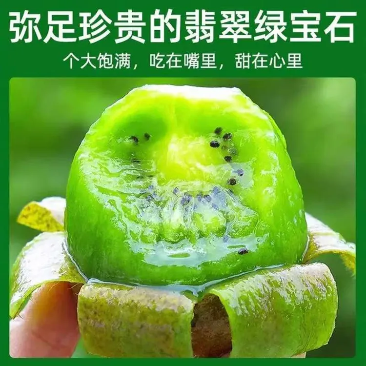 陕西眉县徐香猕猴桃新鲜绿心奇异果应季水果新鲜采摘