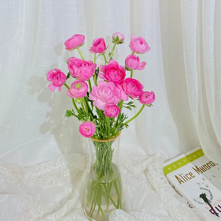 花小贝-洋牡丹1束【任意2单顺丰包邮】