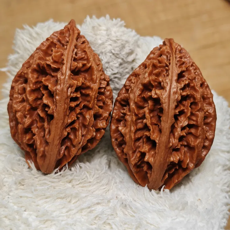 肚37红皮蚂蚁塔东北野生秋子六面如图筋歪介意勿拍有发货封包视频