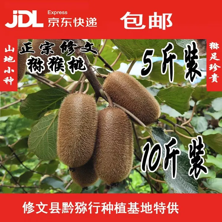 黔猕行&正宗修文猕猴桃新鲜水果绿心香甜汁水多10斤装70-90克