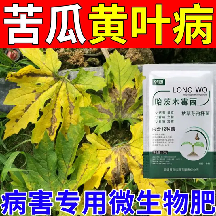 苦瓜黄叶病专用微生物肥料叶片发黄炭疽病枯萎病叶斑病水溶肥菌剂
