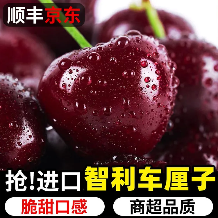 S1【顺丰京东】智利空运车厘子新鲜水果XL-5J 内附果径卡0.9-5斤