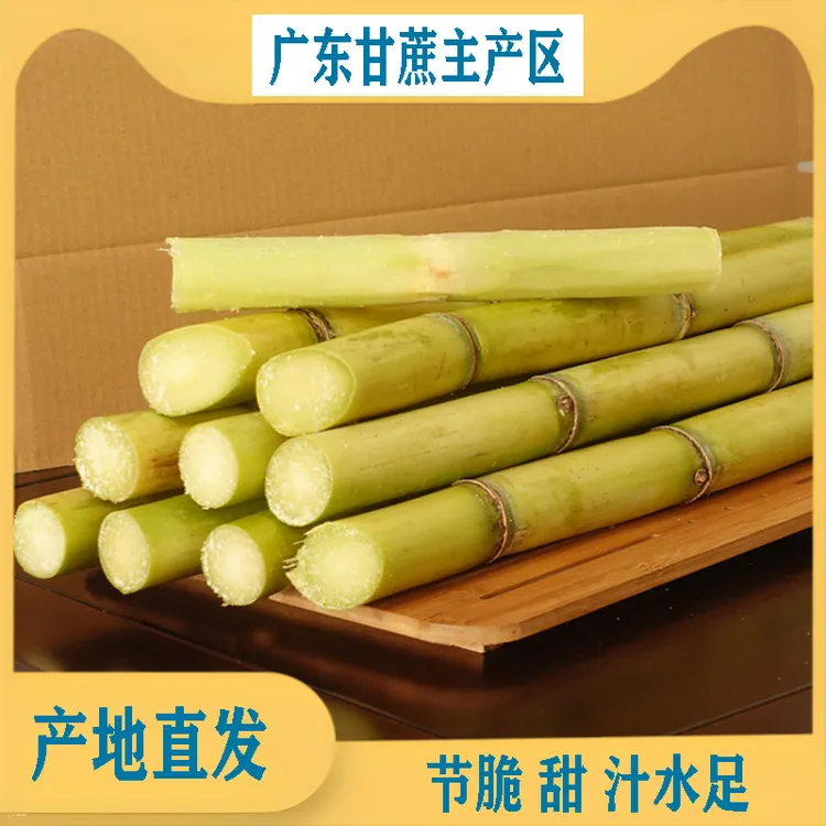 新鲜脆甜黄金甘蔗黄皮甘蔗应季水果现砍现发广东翁源甘蔗产地直发