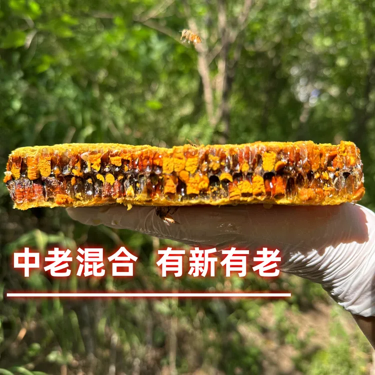 【野生蜂巢蜜满盒装】正宗秦岭天然木桶土蜂巢一年一取五倍子蜂蜜