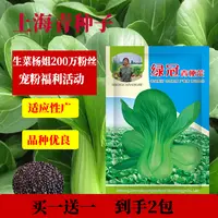【买一送一】绿冠青梗菜四季上海青种籽青菜小白菜阳台盆栽易种