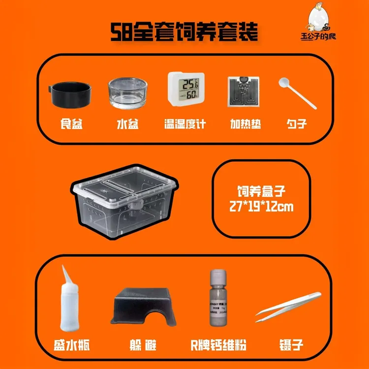 守宫爬宠饲养套装含温控加热垫食盆水盆一应俱全！