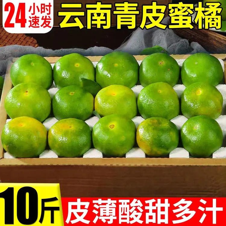 青皮橘子小青桔蜜橘青皮蜜桔云南桔子新鲜青桔绿皮新鲜水果10斤