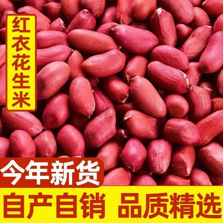 当季东北吉林四粒红花生米3斤5斤 生花生米农副产品10斤