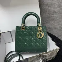 95新/包包/迪奥/250119LL0016