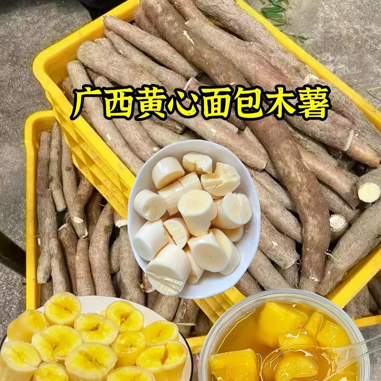 2025年新鲜现挖广西黄肉木薯黄心面包木薯现货板栗正宗糖水店同款