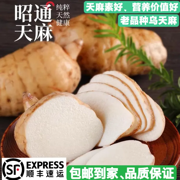 云南昭通小草坝新鲜天麻煲汤养生纯天然仿野生正品包邮乌天麻