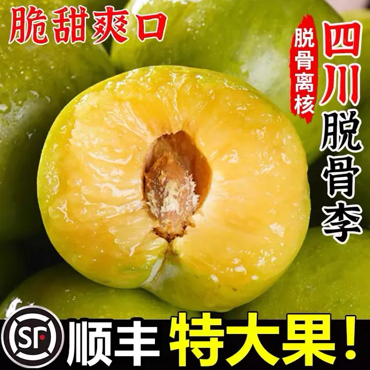 ［顺丰包邮］四川阿坝脱骨青脆李新鲜采摘时令水果非蜂糖李脆甜多汁