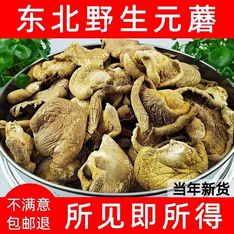 【东北长白山元蘑/冻蘑（干货）】味美鲜香煲汤炖煮蘑菇