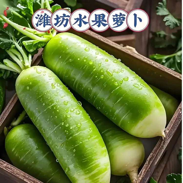 山东寿光   水果萝卜  冰淇淋萝卜  脆嫩清甜产地直发坏果包赔