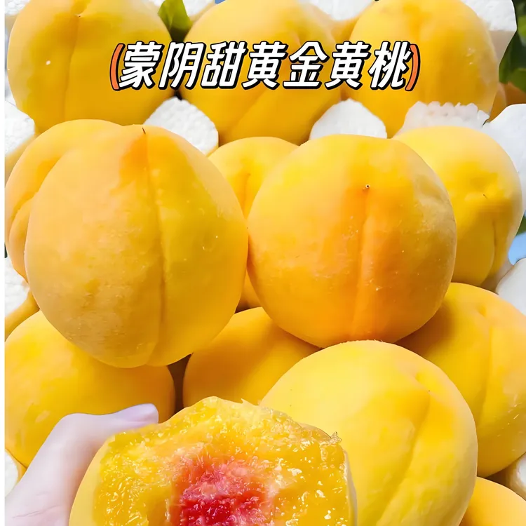 正宗蒙阴产地黄桃新鲜采摘一口爆汁，现摘现发软硬两吃