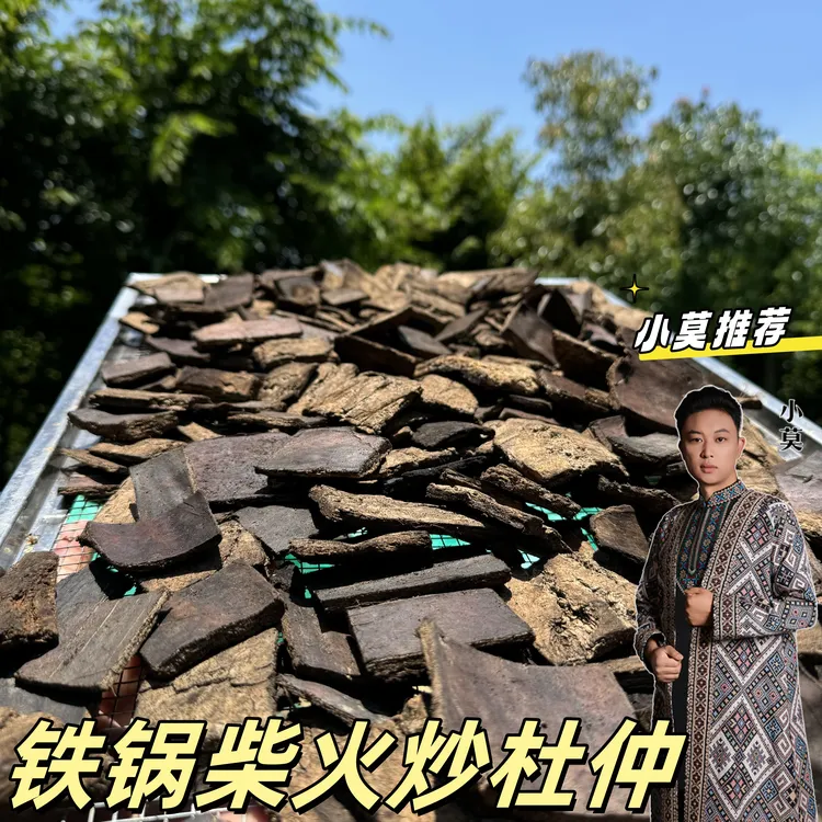 【炒杜仲】500g 铁锅柴火炒制 