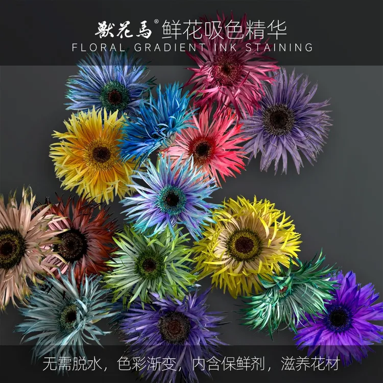 鲜花吸色精华兽花马【鲜花吸色精华】/鲜花吸色染色剂/水墨染/时光染/经典染