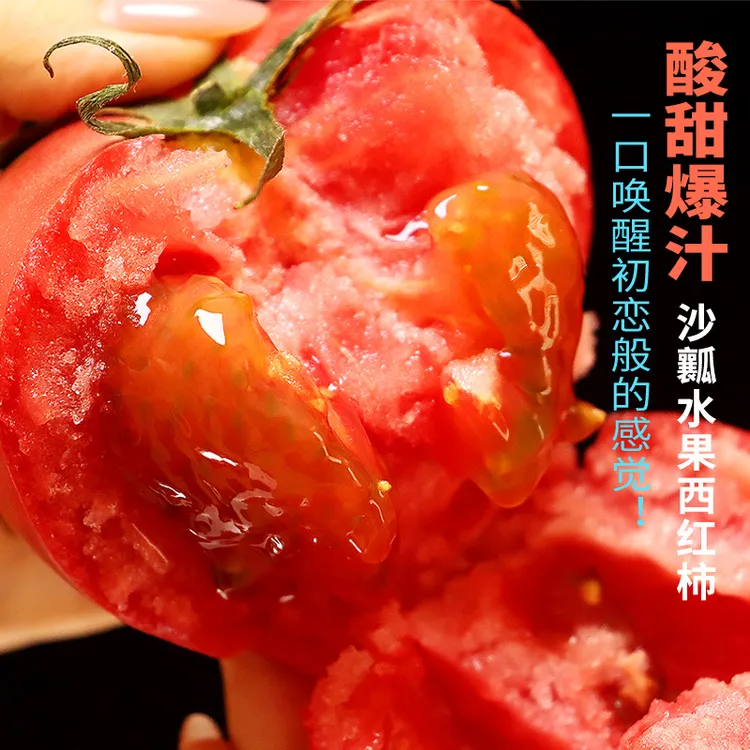 布尼奥尔西红柿新鲜正宗即食生吃水果番茄自然熟沙瓤清甜多汁
