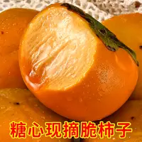 头茬阳丰脆柿子现摘应季新鲜水果冰糖心甜柿子4.5斤包邮