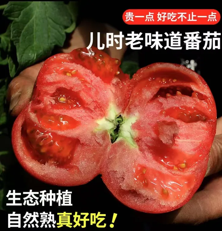 老品种生吃沙瓤西红柿
