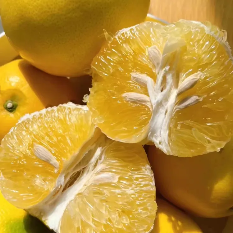 福建爆汁葡萄柚黄金葡萄柚青皮葡萄柚