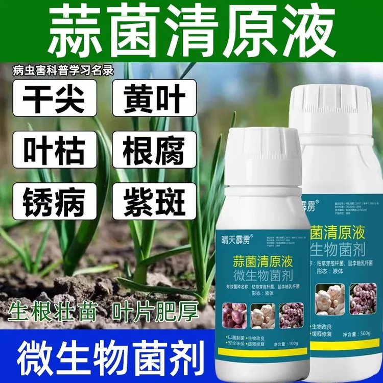 蒜菌清原液大蒜干尖黄叶烂根紫斑锈病根腐病大蒜生物菌肥叶面肥