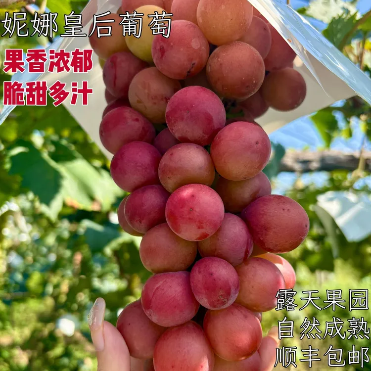 妮娜皇后整串发货顺丰包邮