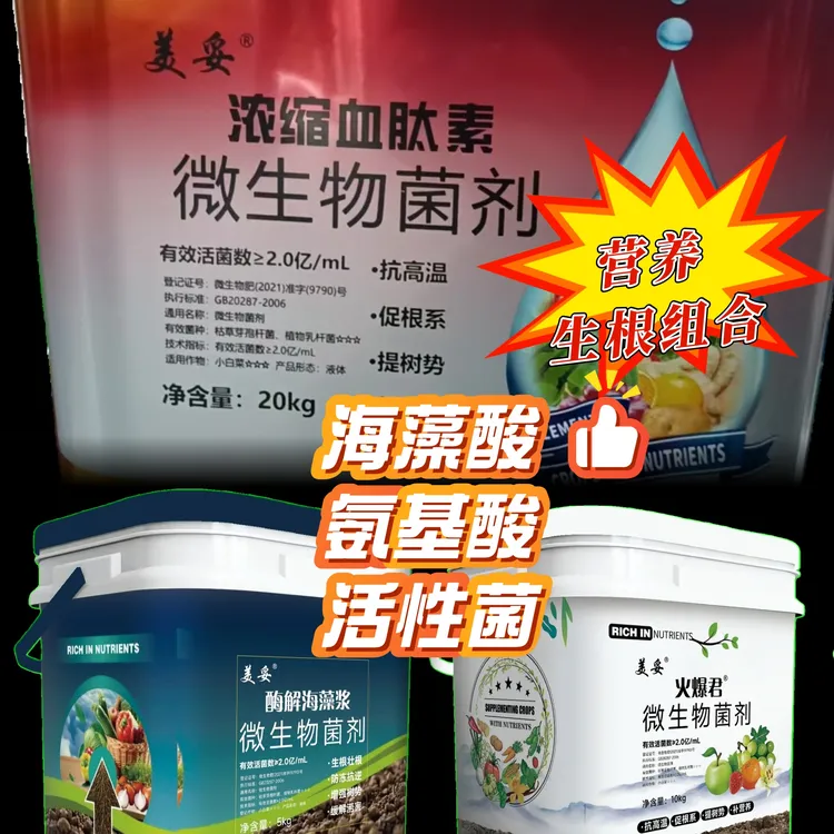 营养生根组合！氨基酸、海藻酸、复合菌！