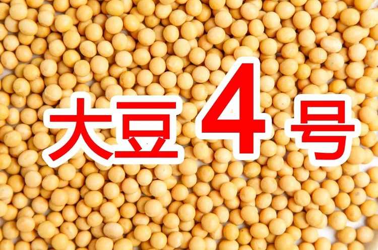 大豆花生4号叶面肥增产加硼钼