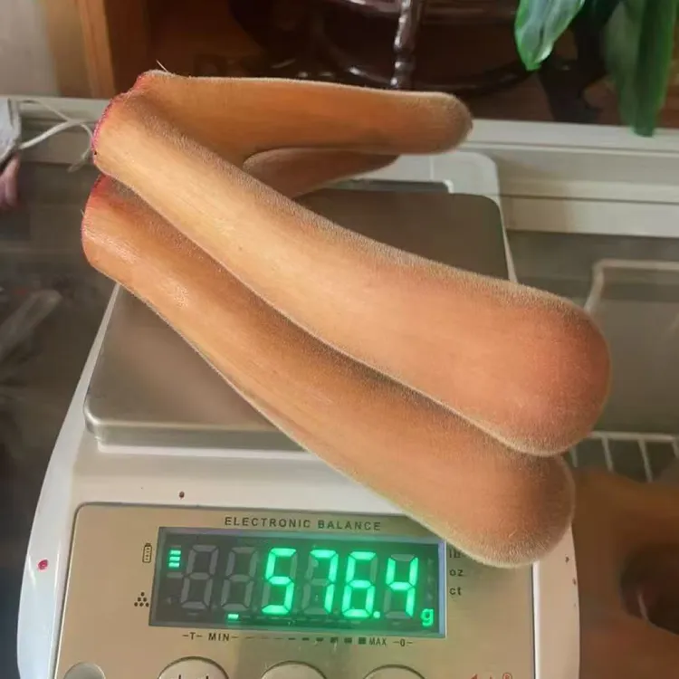 鹿茸整枝鲜鹿茸滋补泡酒煲汤食材（直播间展示为准）