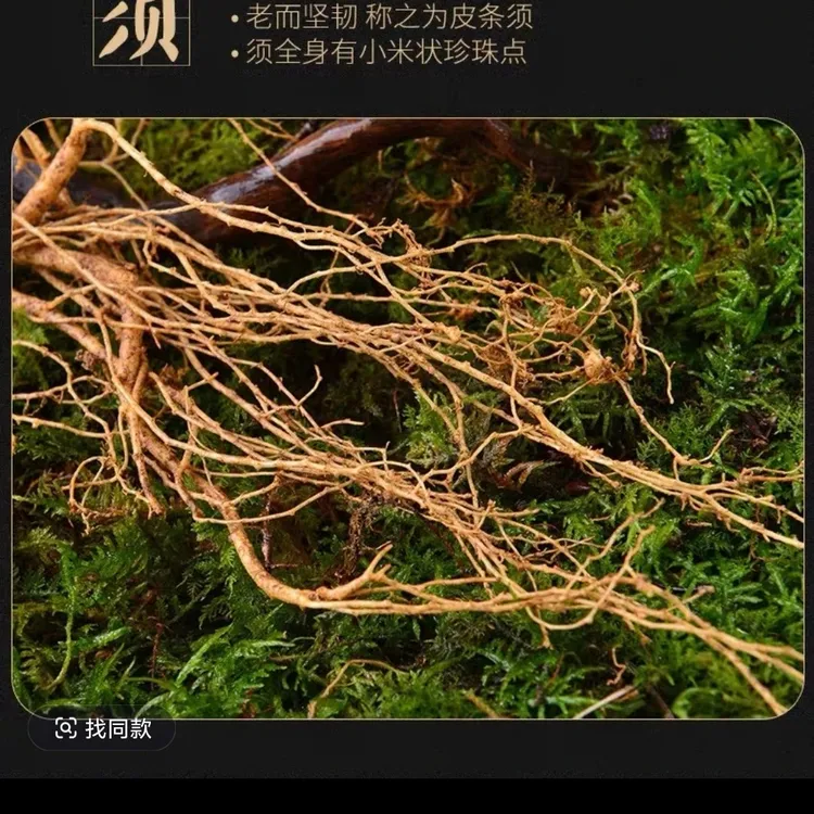 东北长白山鲜人参可送礼可自用养生新鲜人参佳品