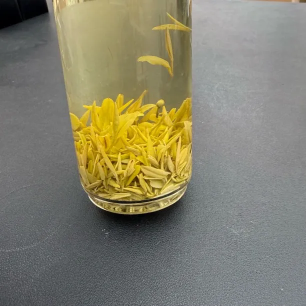 【小芽黄金芽】412GD 高山黄金芽  汤色透亮 香气馥郁