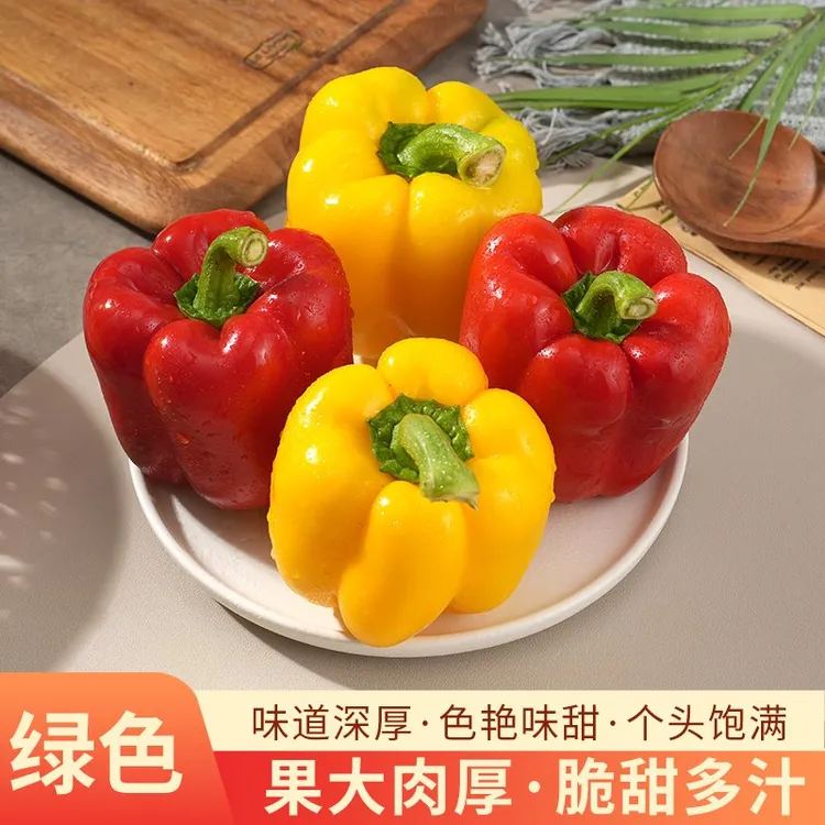 山东五彩椒水果椒净重（2-5斤）新鲜采摘柿子椒生吃