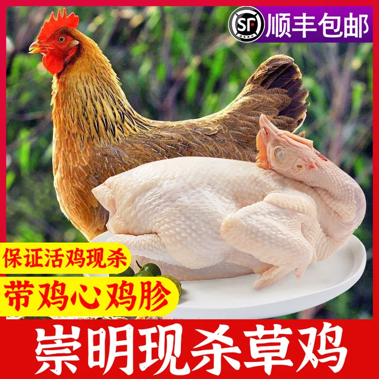【P总专属】[发顺丰]崇明林地散养草鸡1只鲜品带心肝胗现杀现鲜发推荐白切