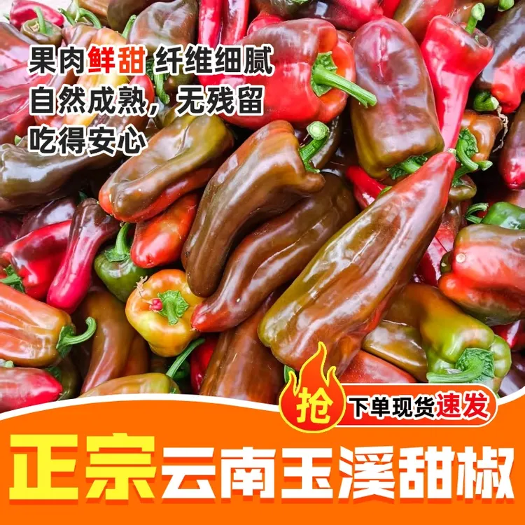 云南高山农户自种甜椒精选辣椒应季甜椒1斤2斤3斤